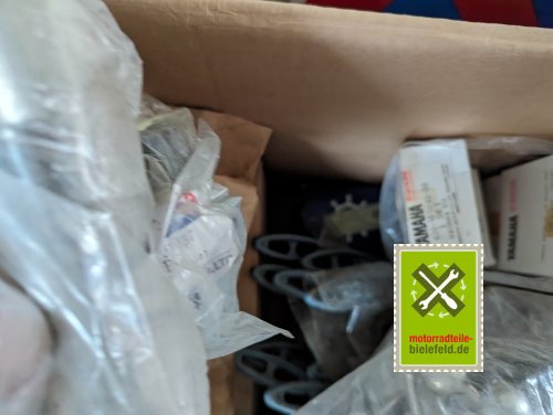 PXL_20240527_155026660